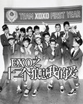 EXO֮ʮֻҵİ