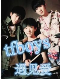 tfboys֮